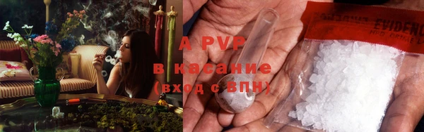 a pvp Алзамай