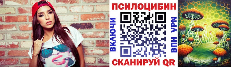 Псилоцибиновые грибы мицелий  закладки  сайты даркнета какой сайт  Большой Камень  KRAKEN как зайти 